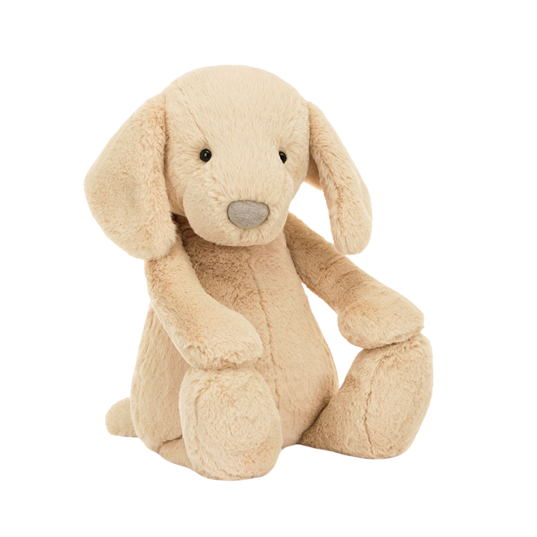Bashful Luxe Puppy Orlando