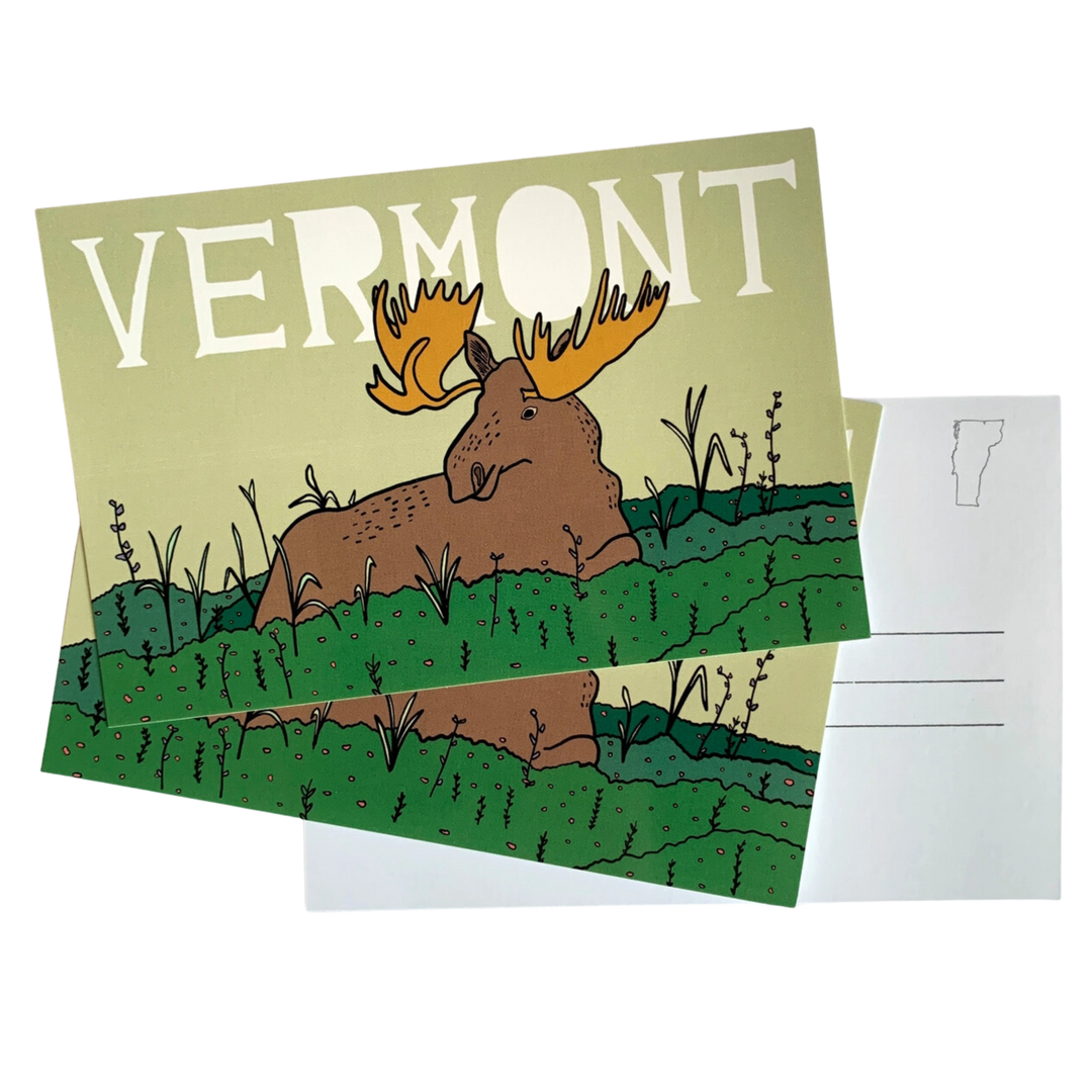 Vermont Moose Postcard