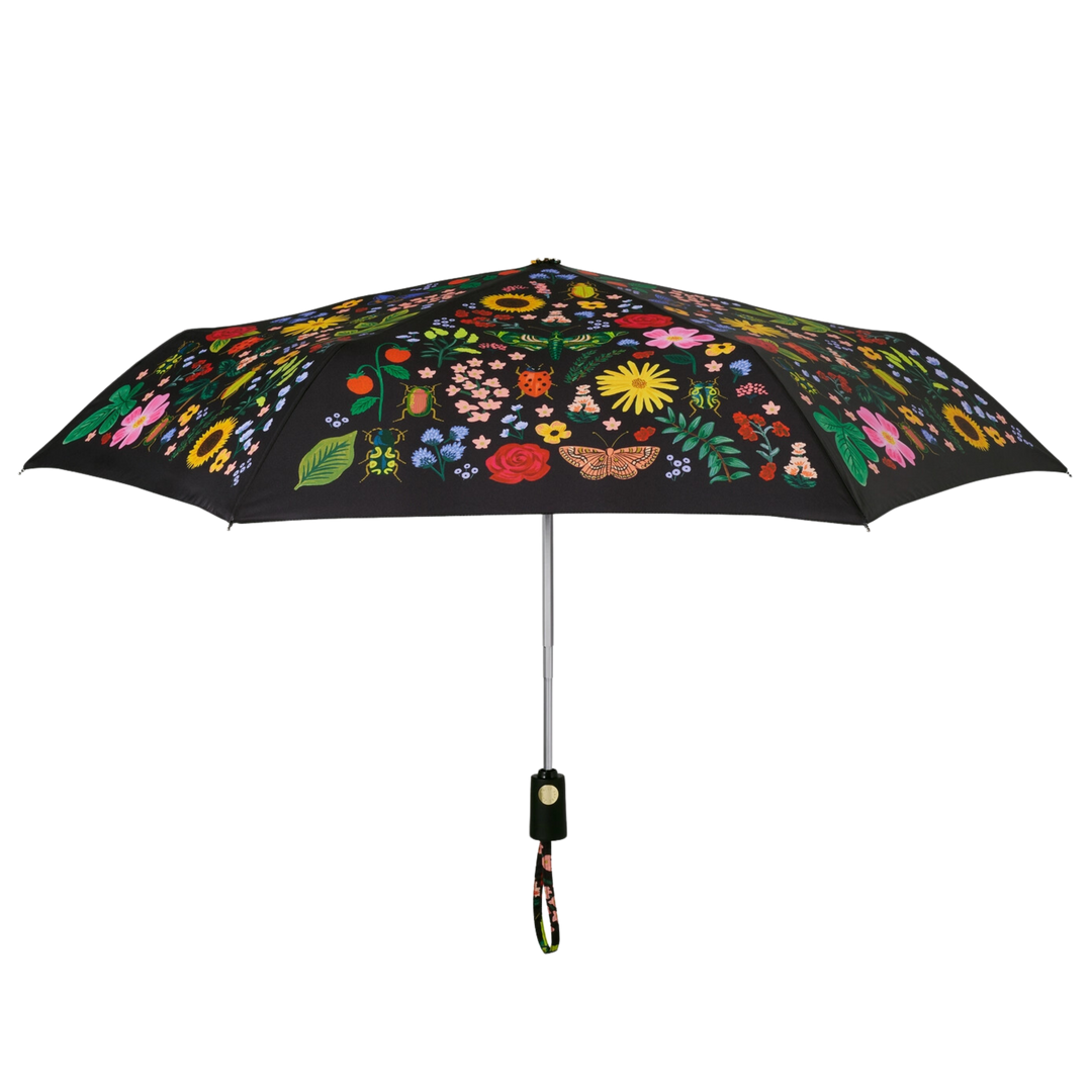 Curio Umbrella