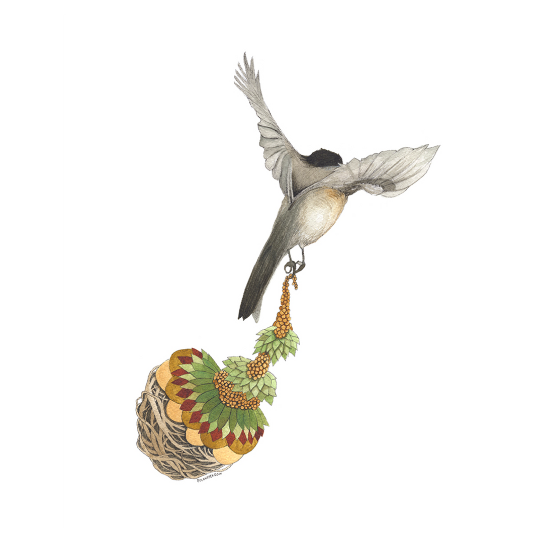 Quilted Bundles: Bird III - Art Print