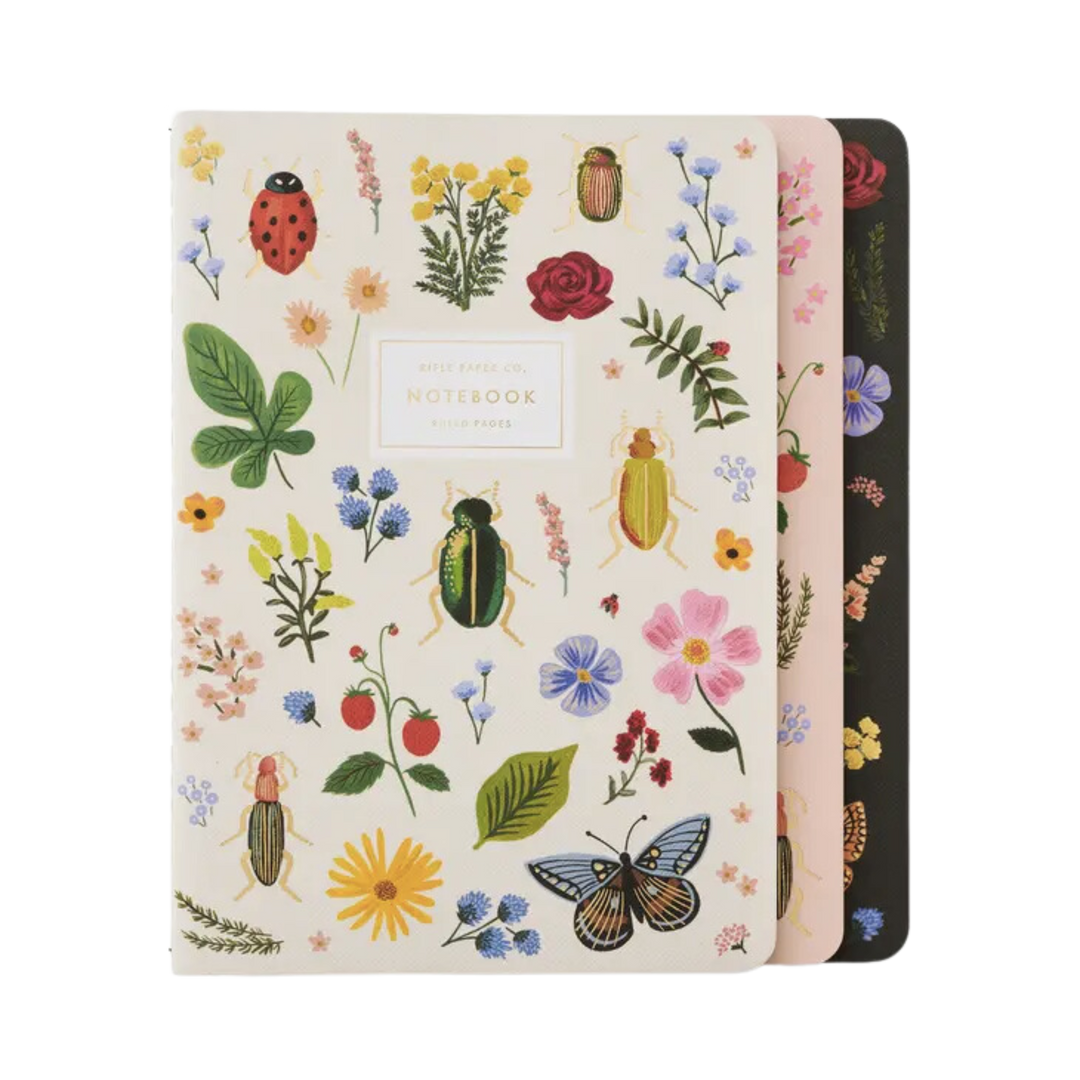 Assorted Set of 3 Curio Notebooks