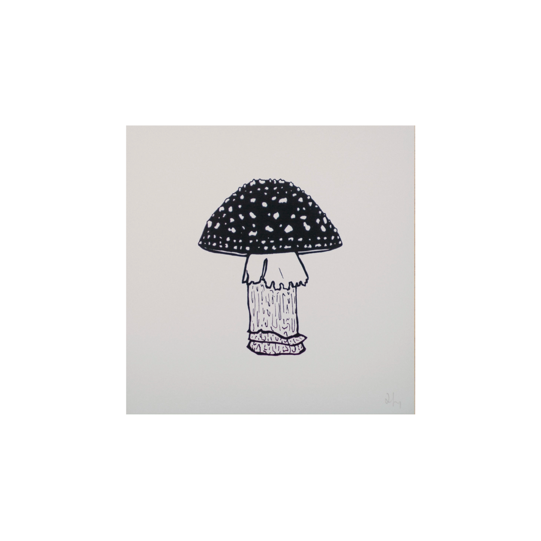 Toadstool Art Print