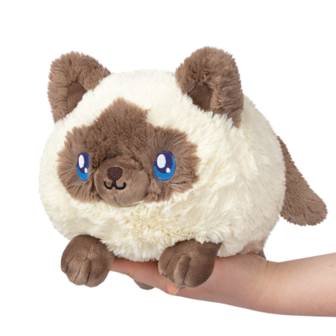 Mini Squishable Colorpoint Kitty