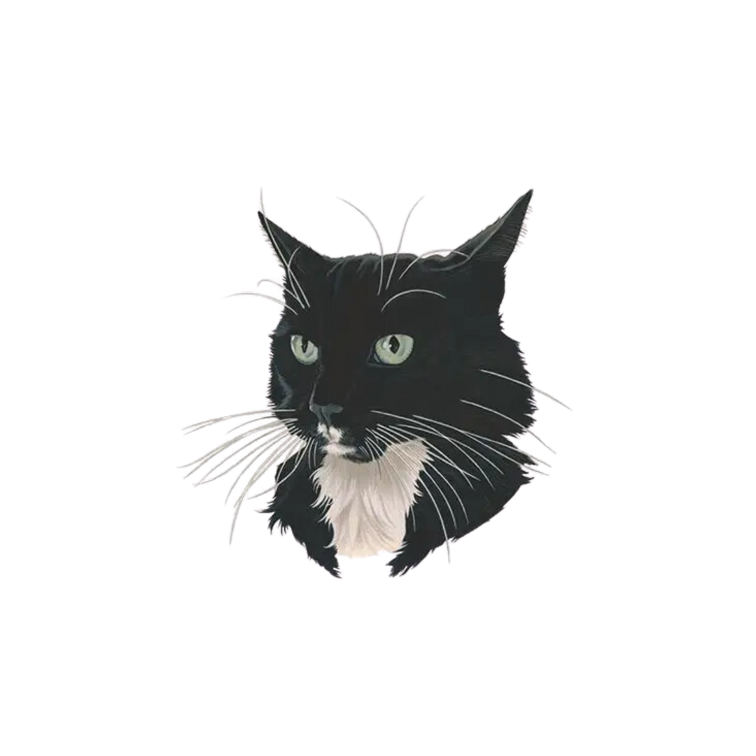 B/W Fancy Cat Tattoo Pair