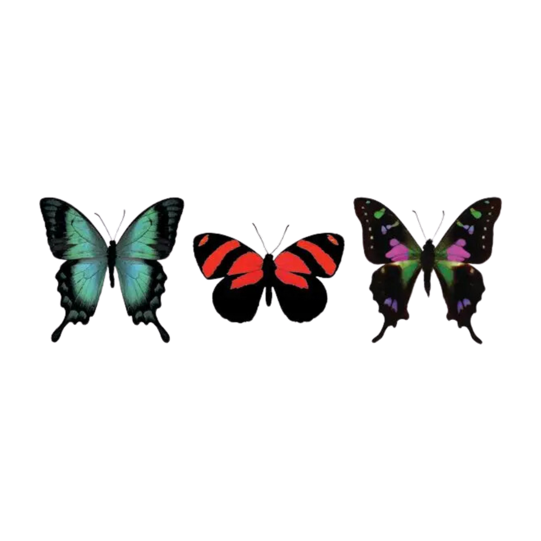 Butterfly Trio Tattoo Pair