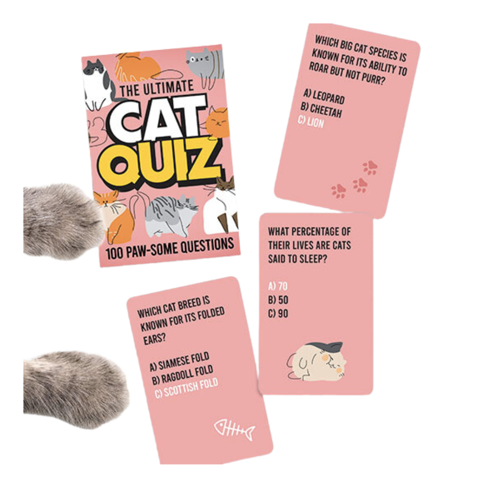 Cat Quiz Cards