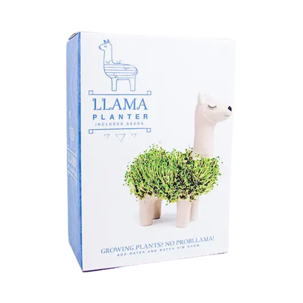 Llama Chia Pet Planter