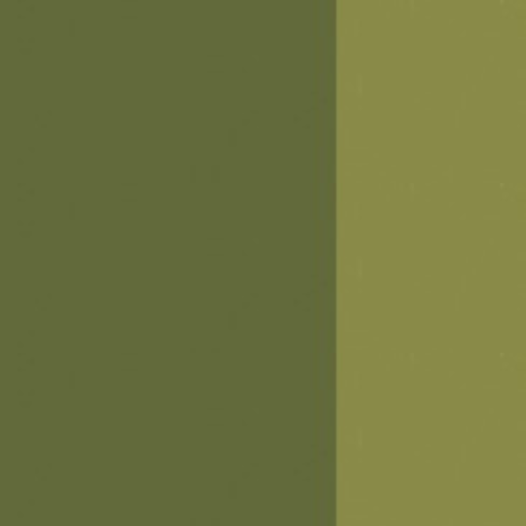 Terre Verte Opaque Holbein Artist Oil Color 40ML