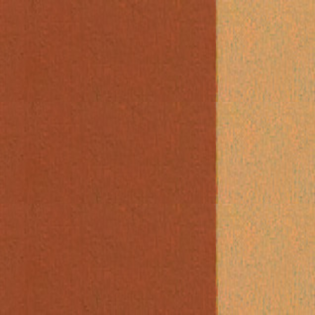 Yellow Ochre Pale Natural Holbein Artist Oil Color 40ML