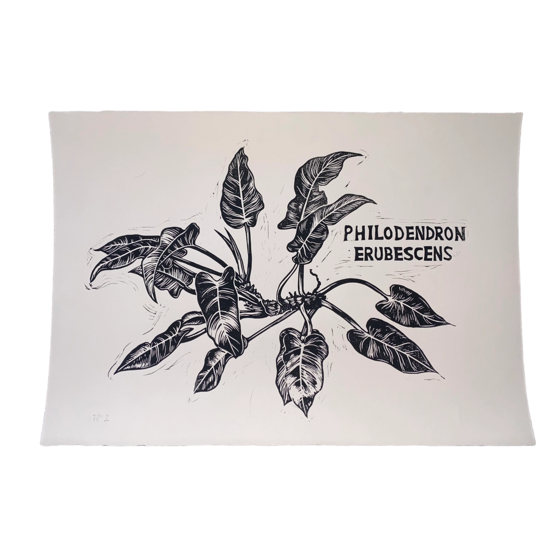 "Philodendron Erubescens" Original Linocut Print