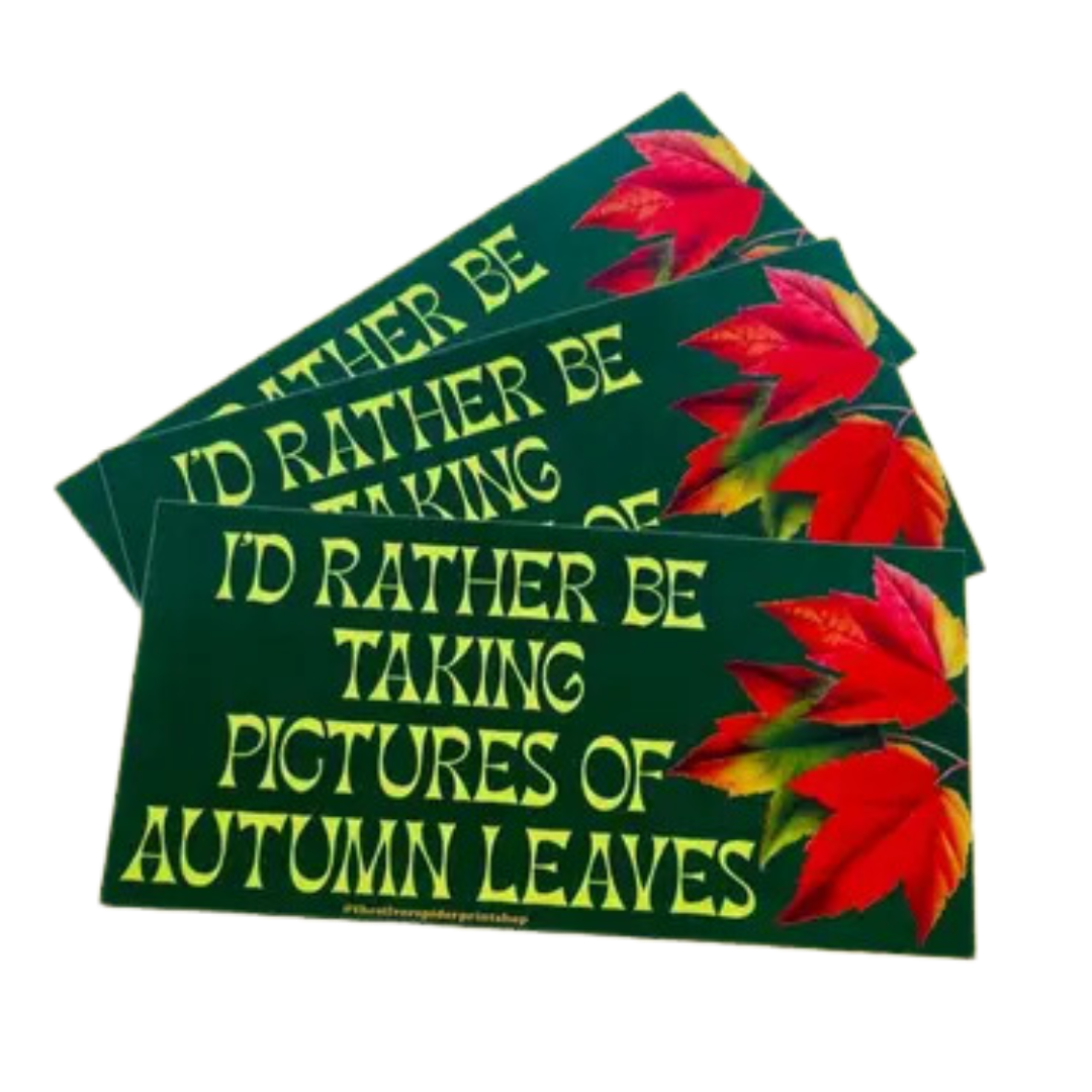 Rather Be Taking Pictures of Autumn Leaves Bumper Sticker