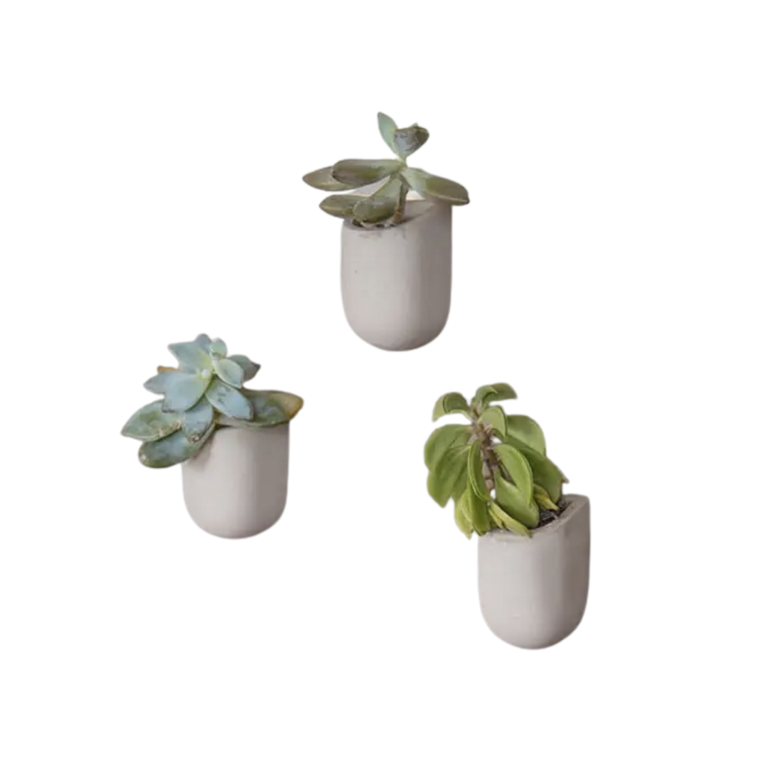 Magnetic Plant Pots
