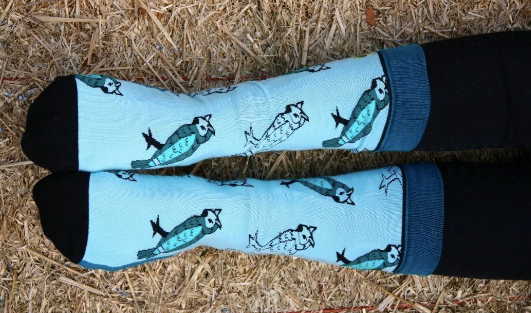 Hoot and Holla Socks