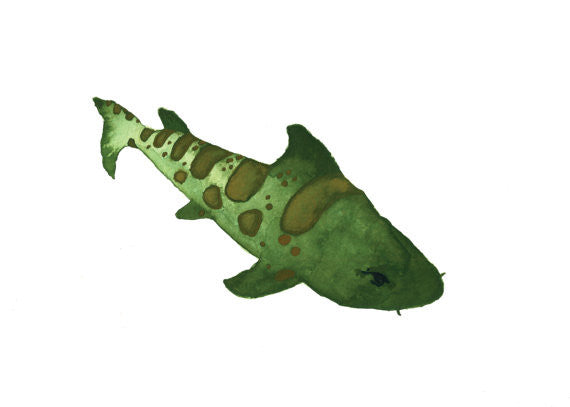Leopard Shark Watercolor Print 5" x 7"