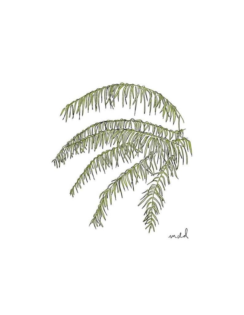 Palm Fronds 8x10 Print