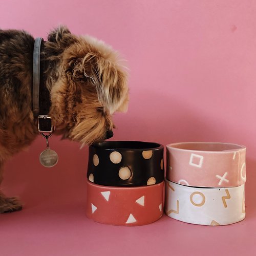 Pet Bowl