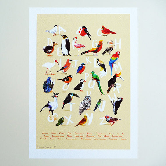 Sarah Edmonds Illustration