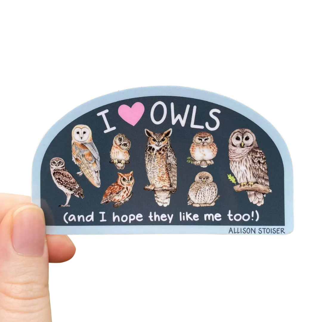 I ❤️ Owls Vinyl Sticker