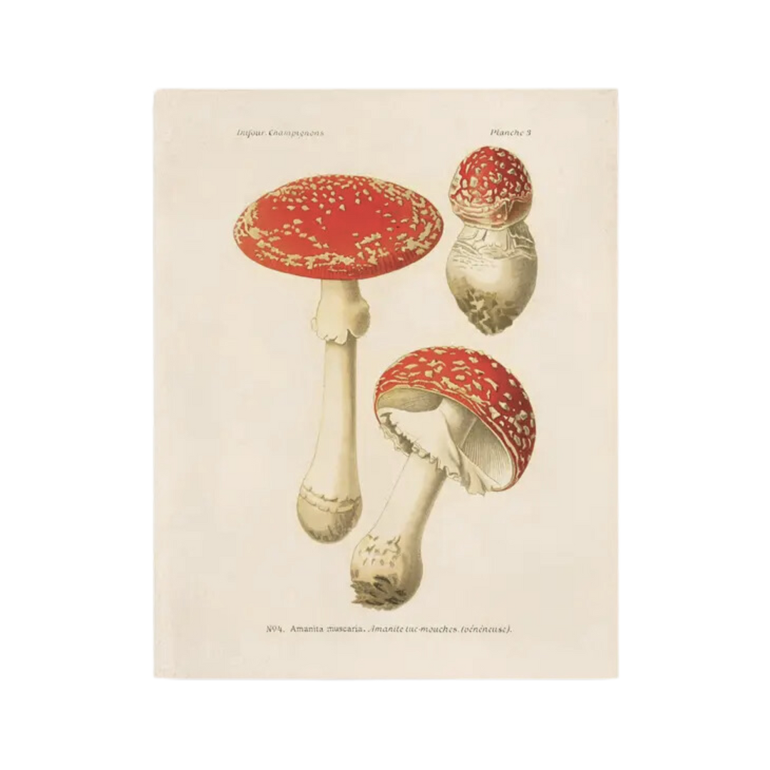 Vintage Magic Mushroom Print
