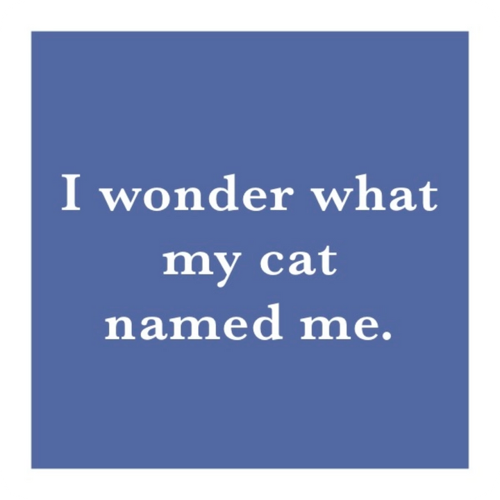 Coaster Cat Named Me