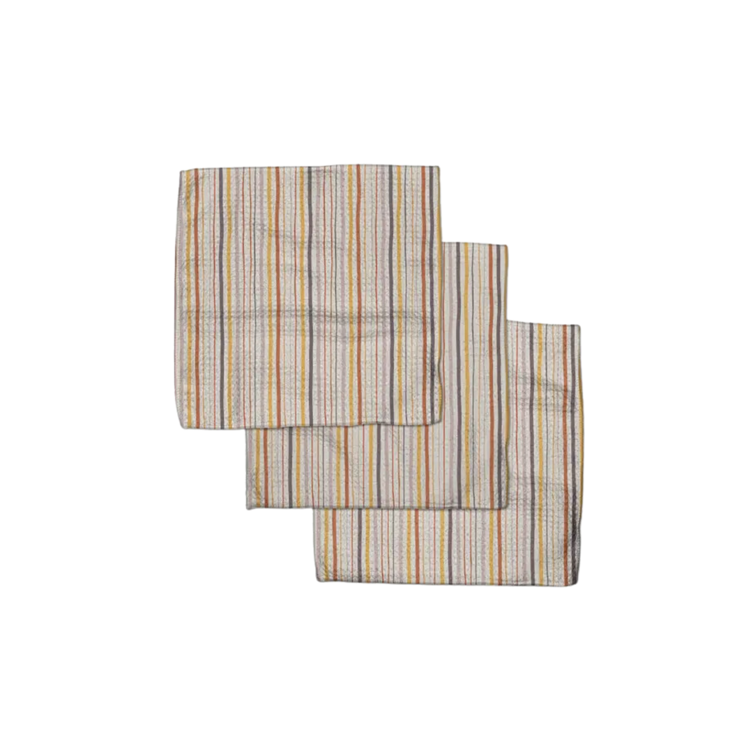 Stripe Season Dishcloth Set