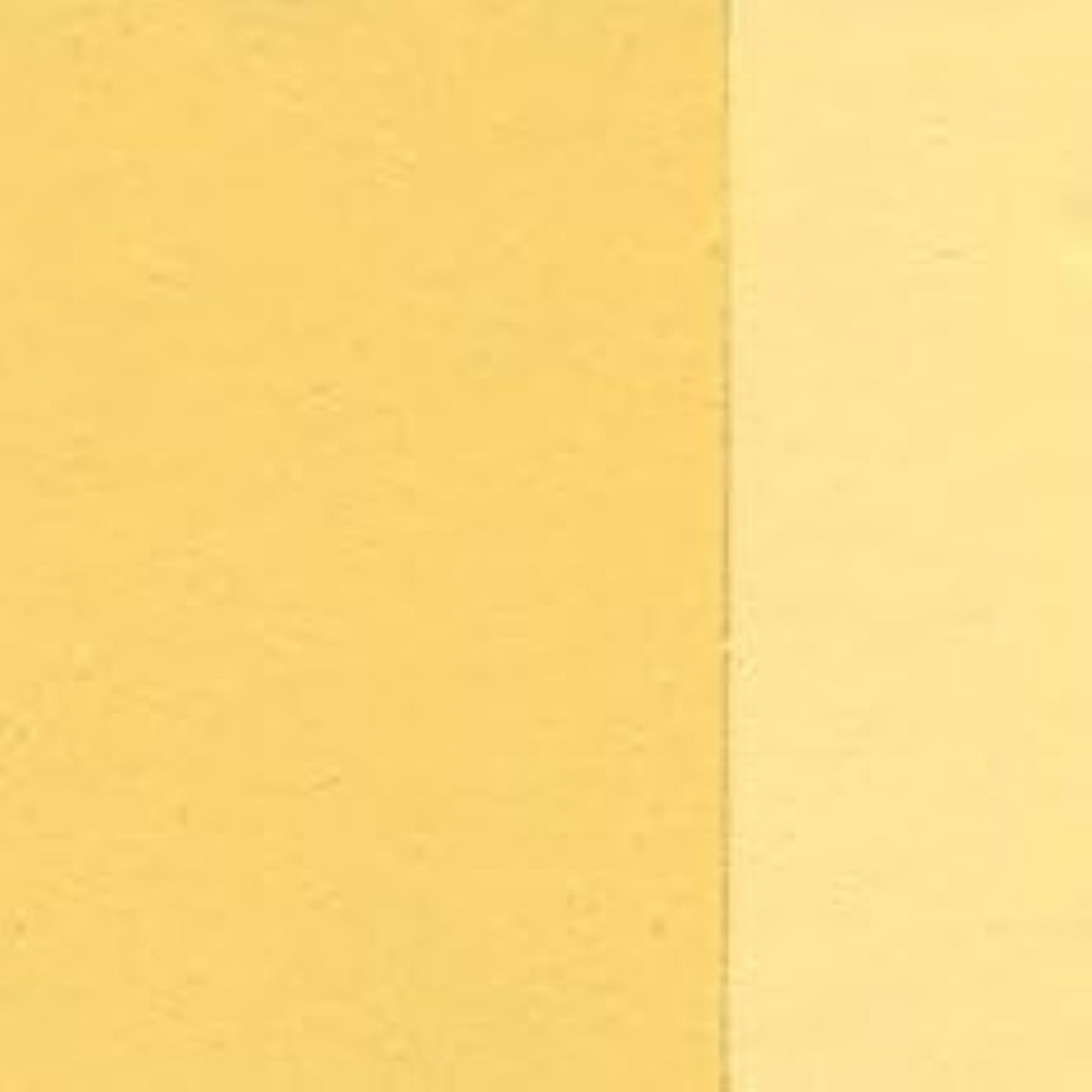 Holbein Artist Oil Color 40ML