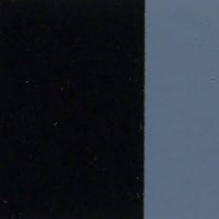 Holbein Artist Oil Color 40ML