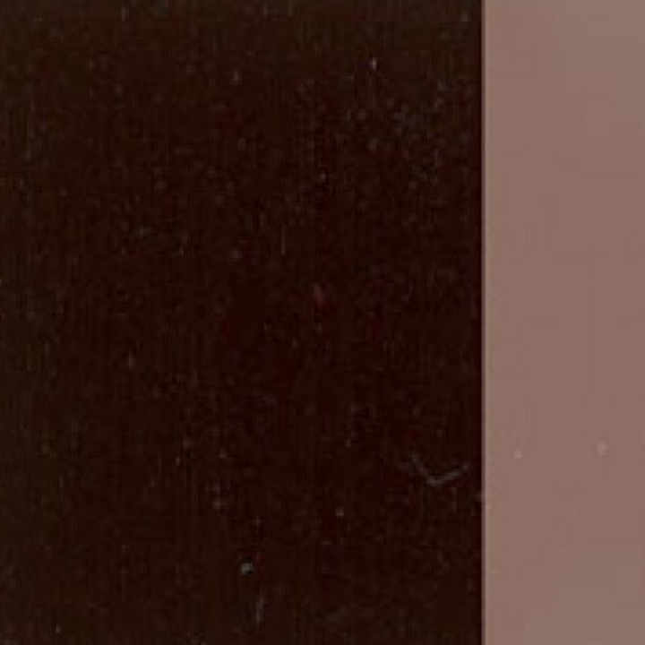 Holbein Artist Oil Color 40ML