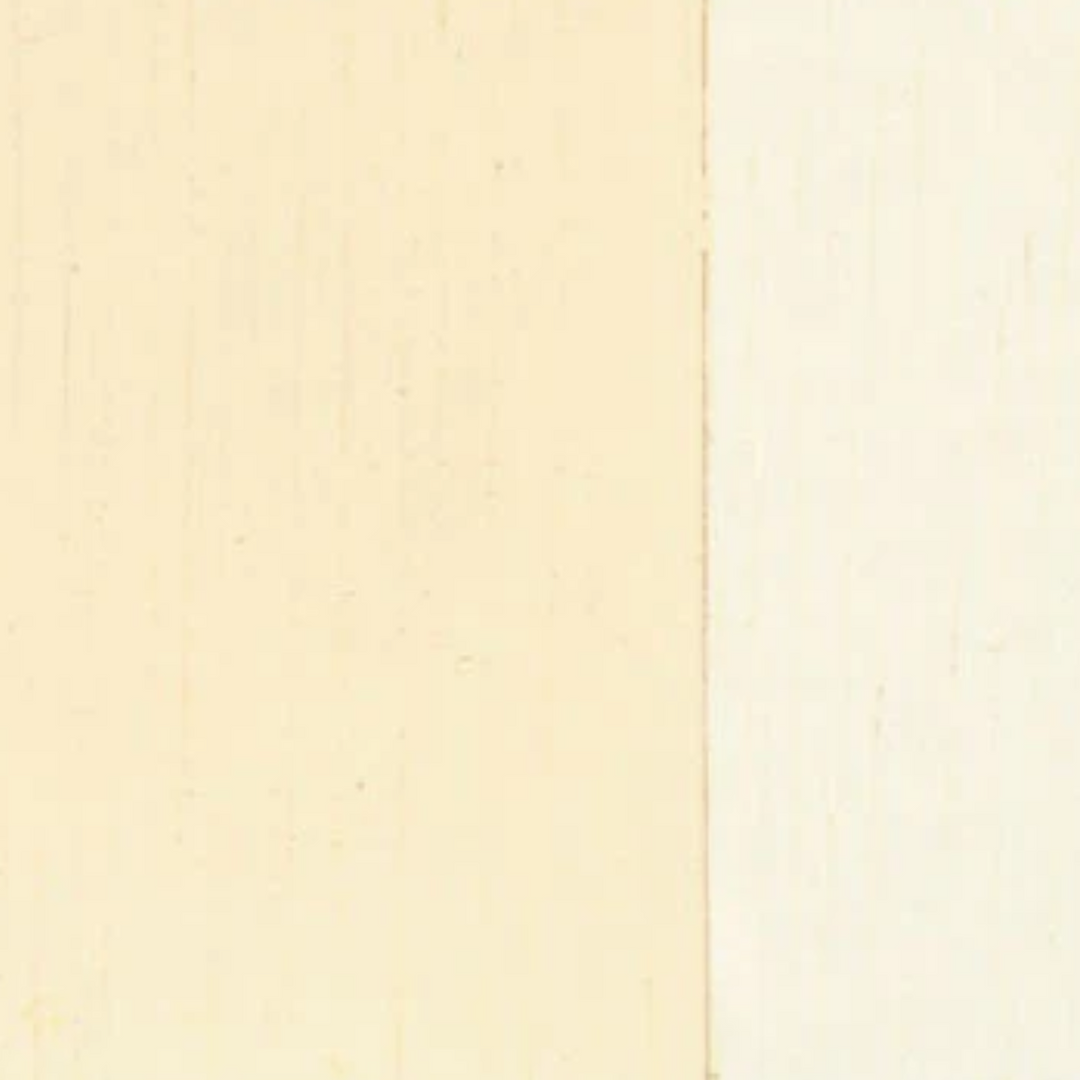 Holbein Artist Oil Color 40ML