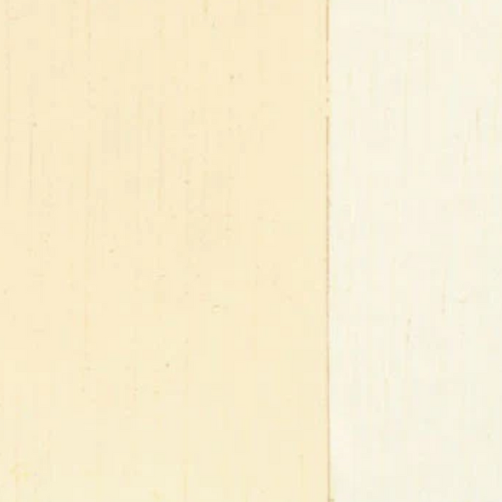 Holbein Artist Oil Color 40ML
