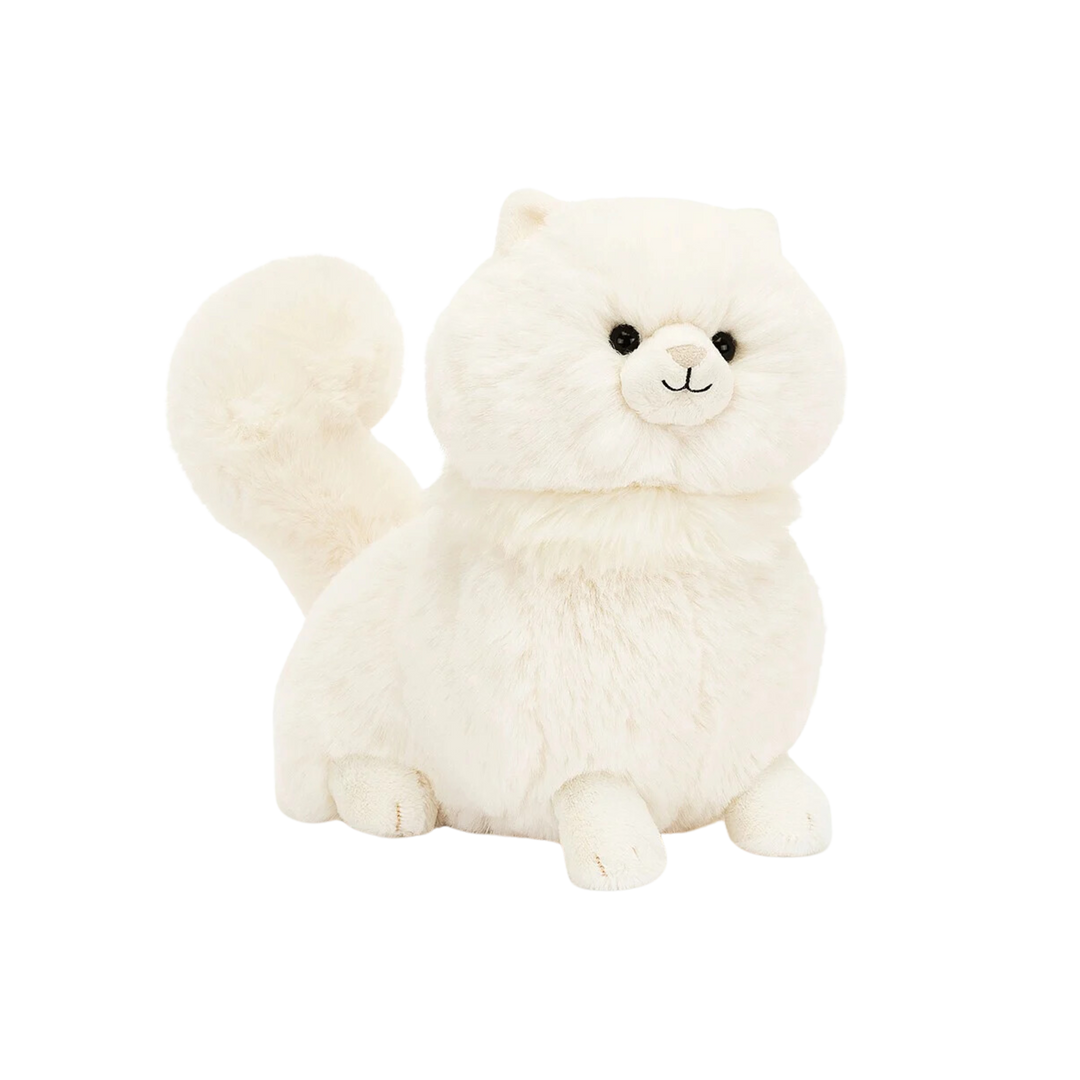 Carissa Persian Cat