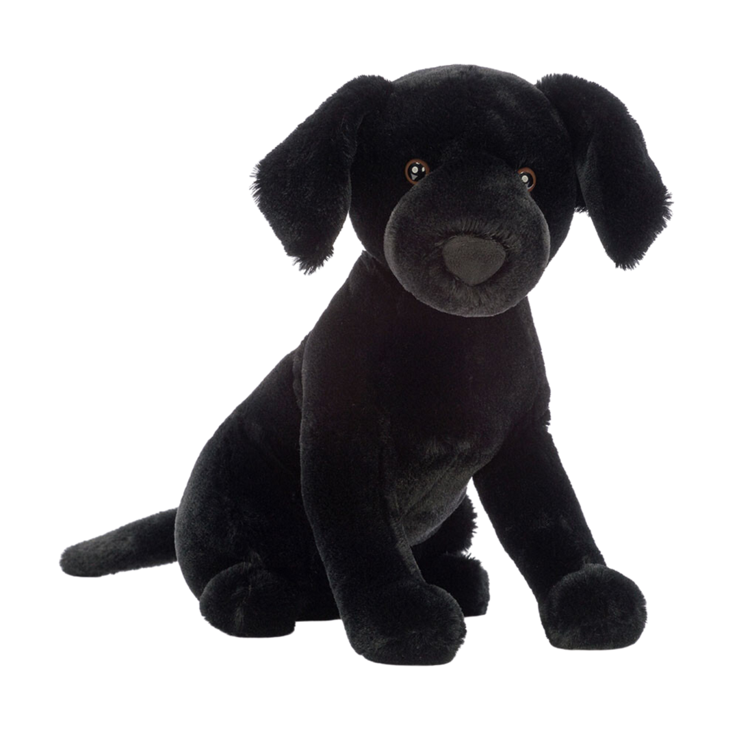Pippa Black Labrador