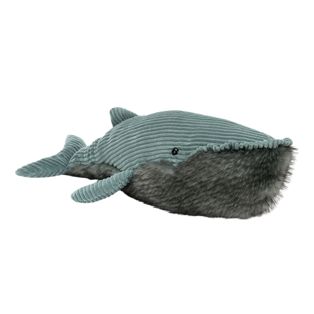 Wiley Whale
