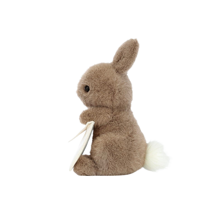 Messenger Bunny