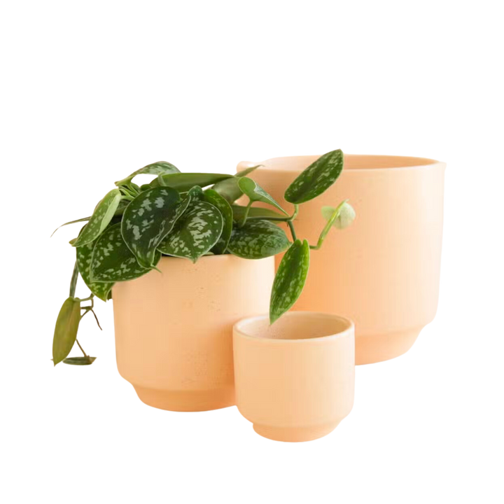 Parker Planter