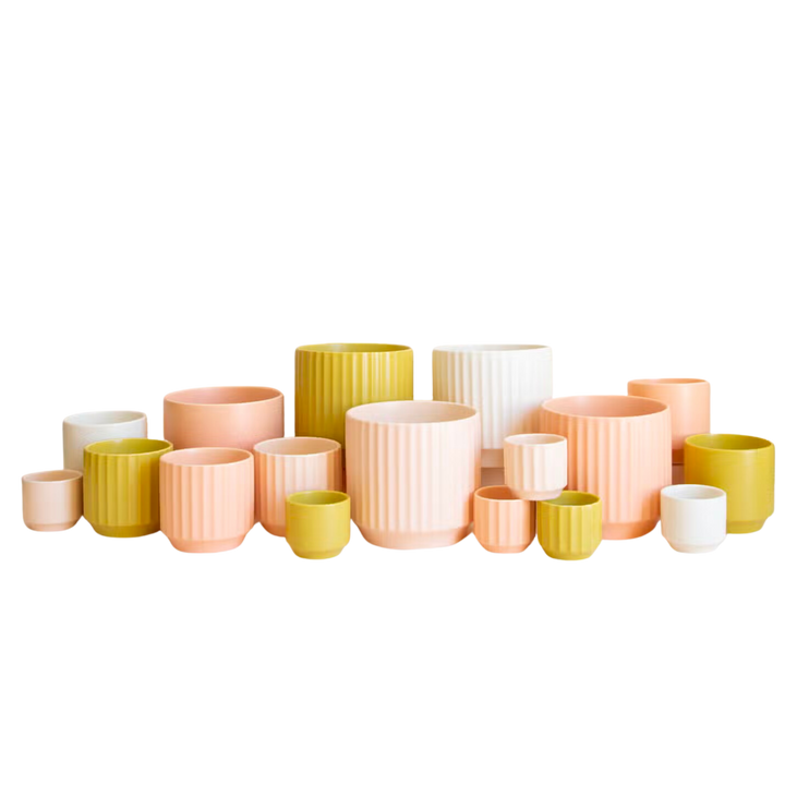 Monroe Planter
