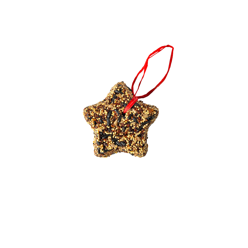 Little Star Cookie