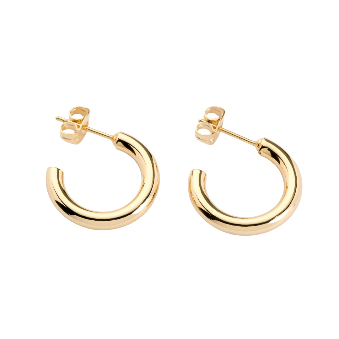 Tessa Tube Hoops