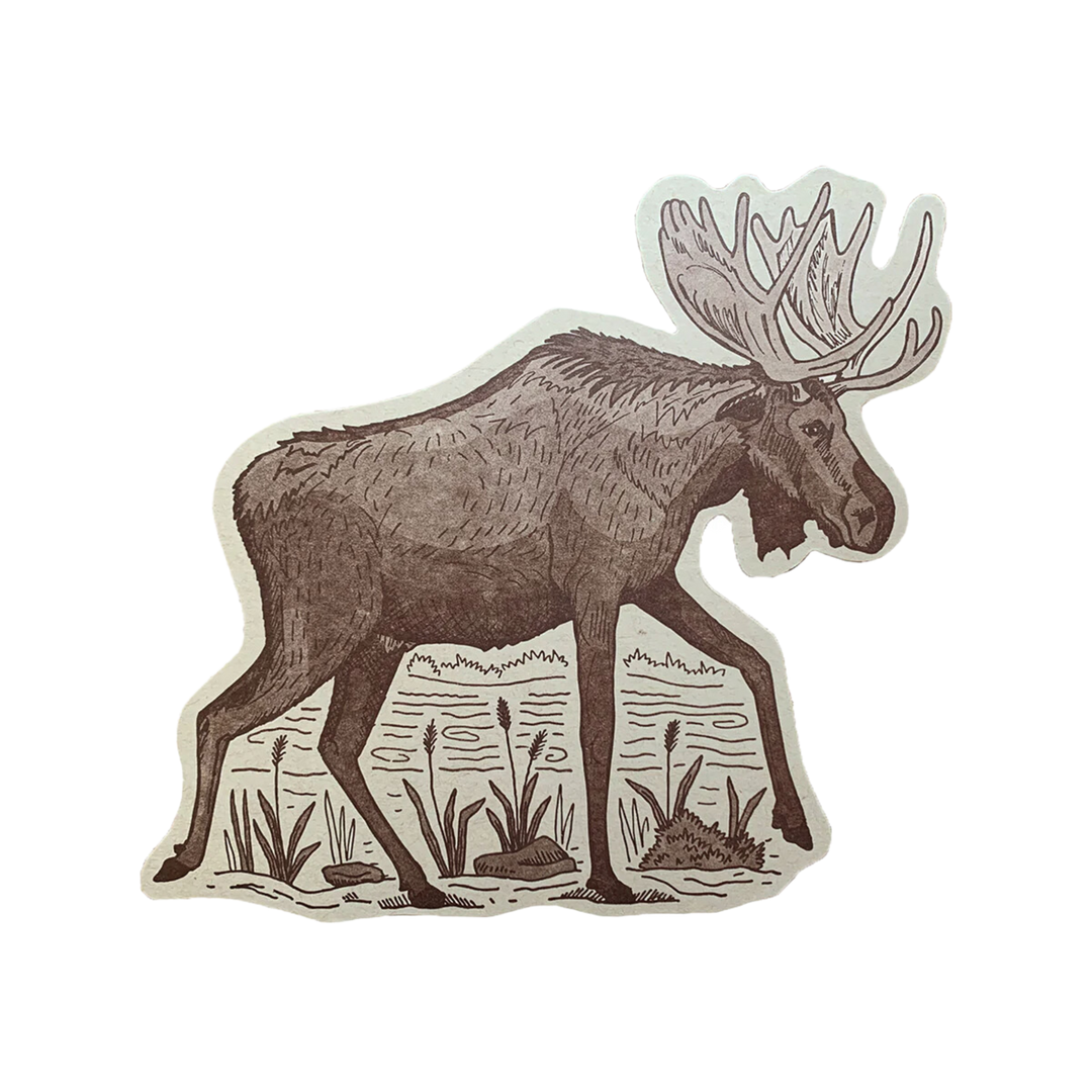 Moose Postcard