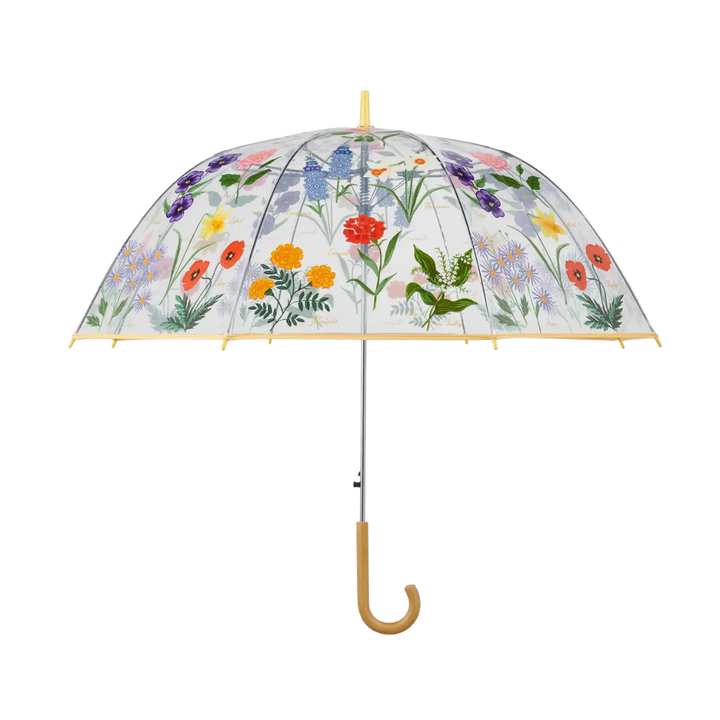 Garden Study Clear Umbrella