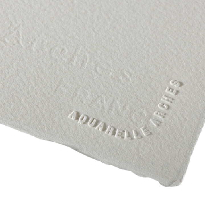 Professional Watercolor Paper Sheets 22x30"