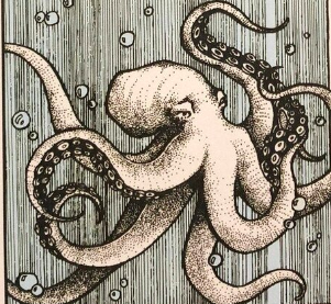 Octopus Sticker