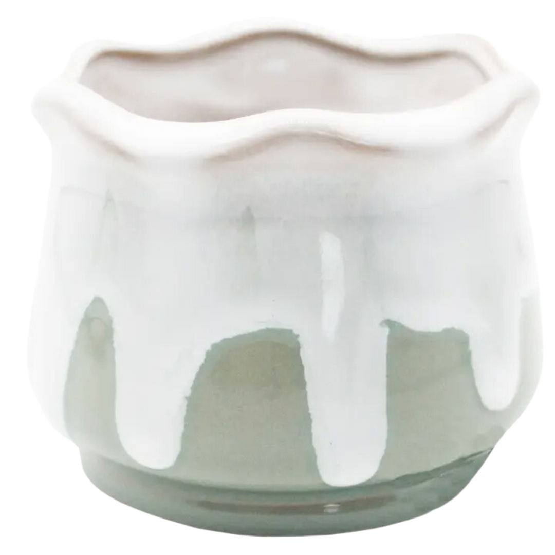 Milky Green Lotus