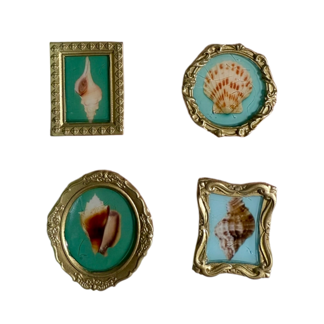 Mini Framed Shell Magnets (4ct)