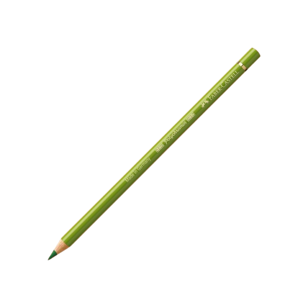 Faber-Castell Polychromos Colored Pencil — Earth Green Yellowish