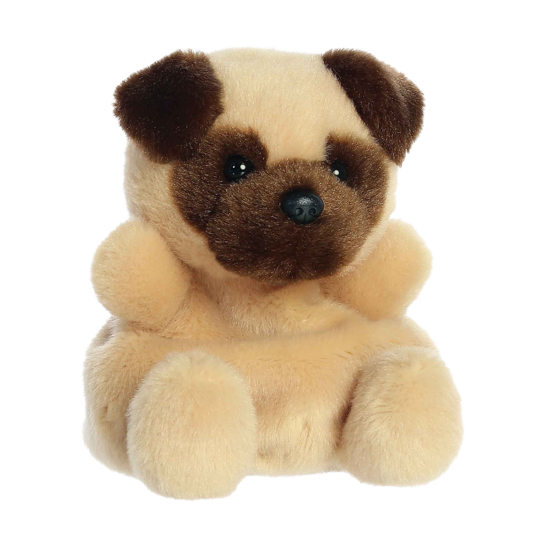 Frankie Pug