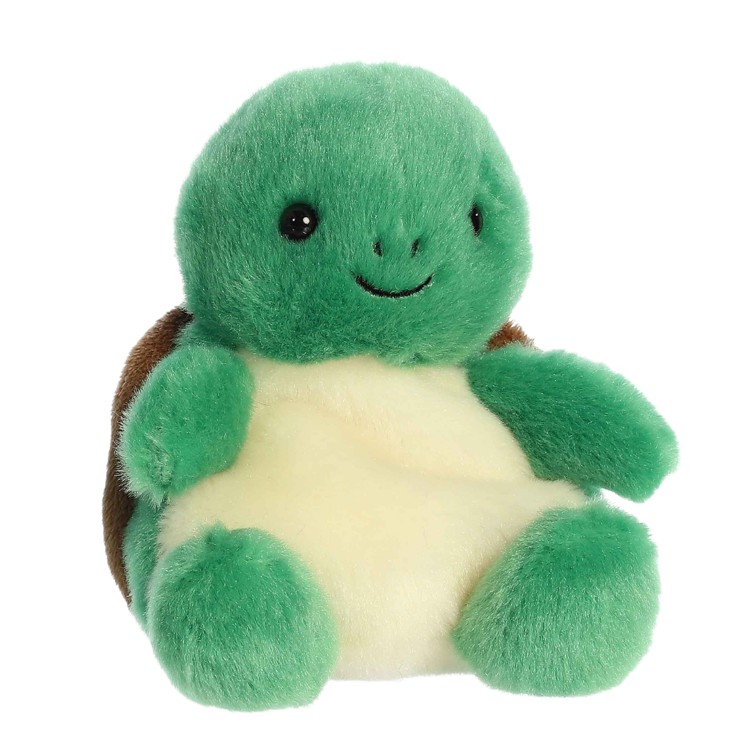 Honu Sea Turtle
