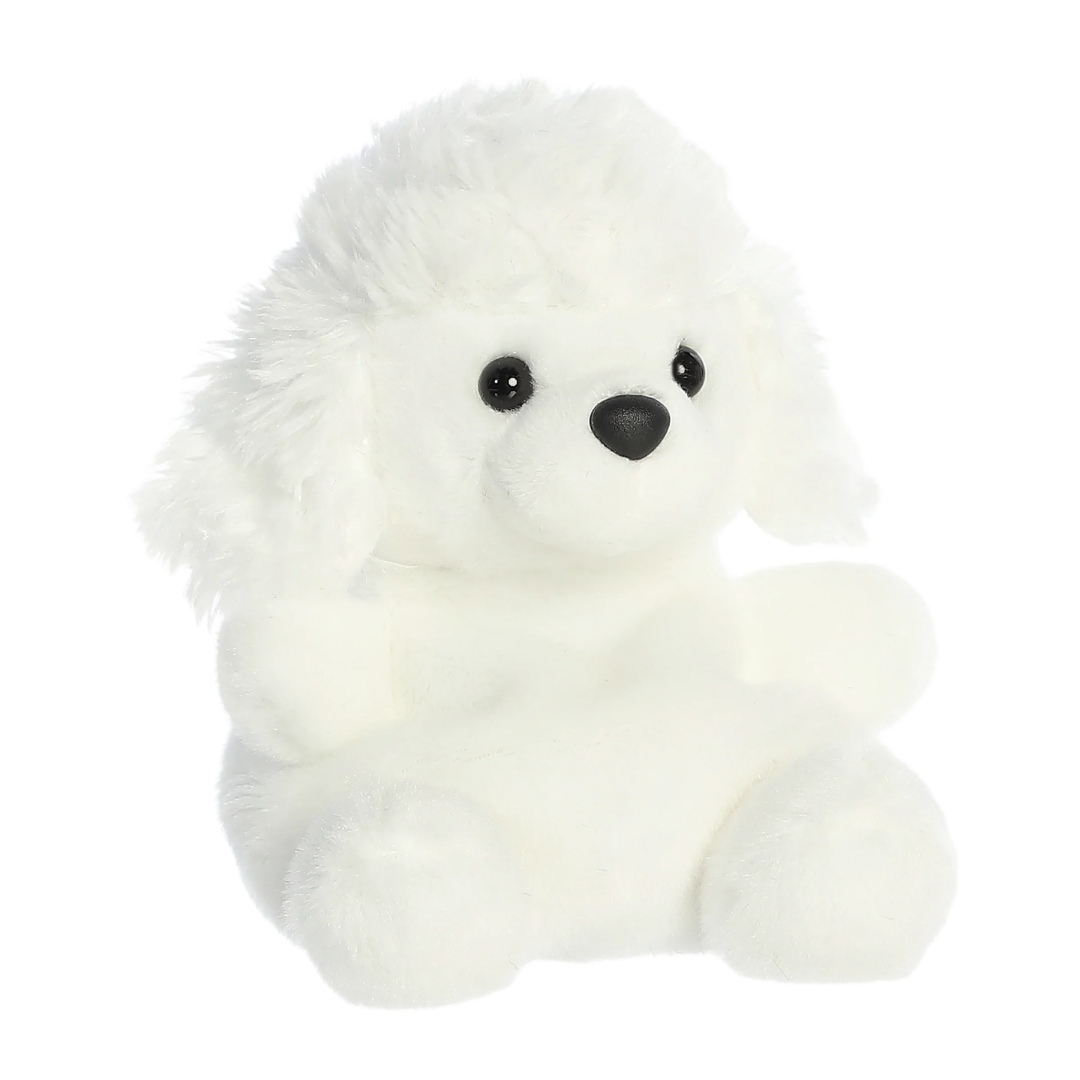 Lulu Poodle