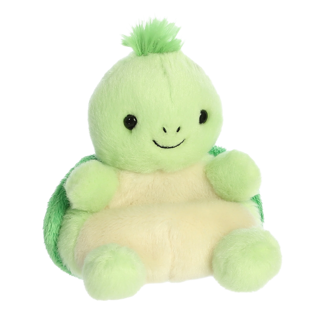 Tiny Turtle