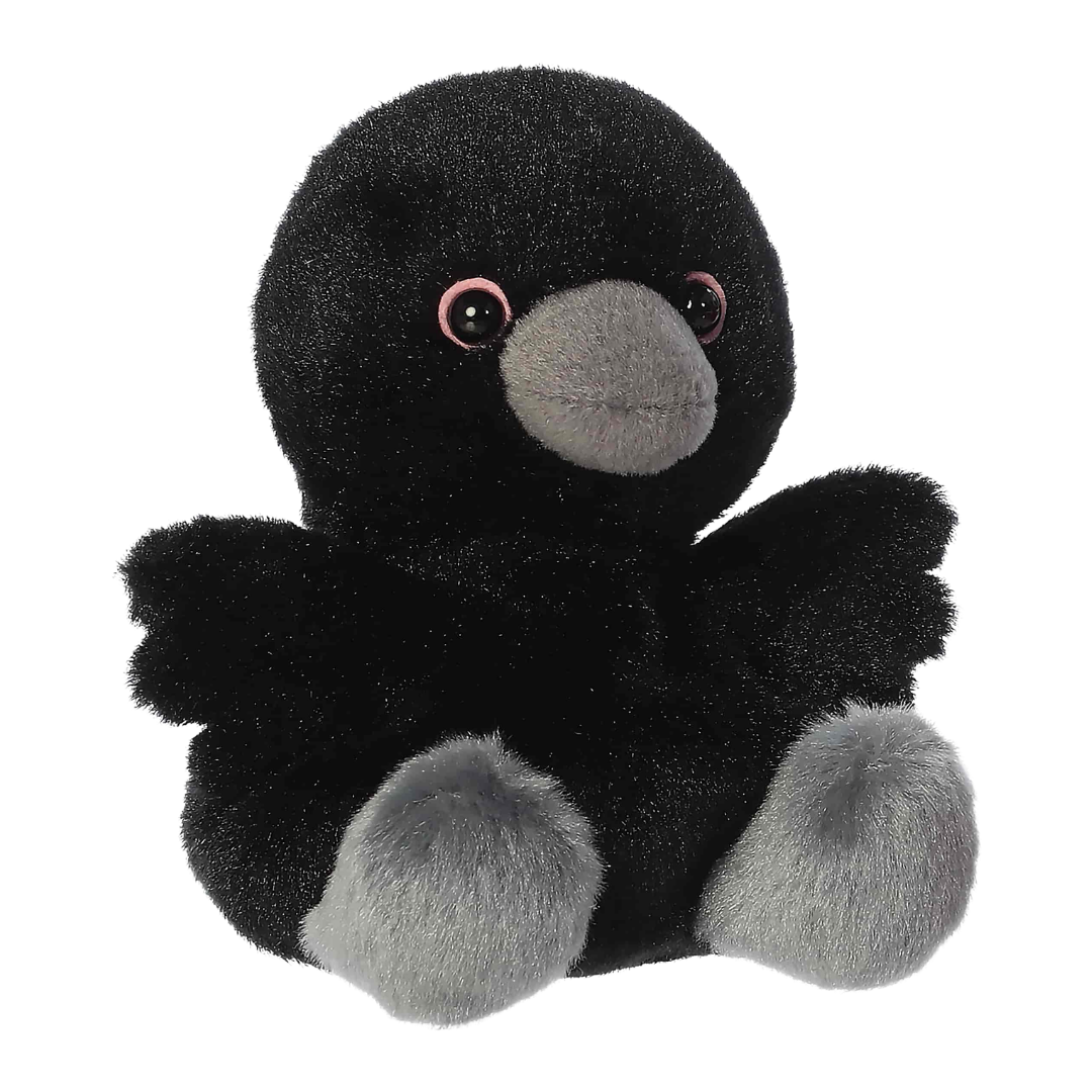 Poe Raven